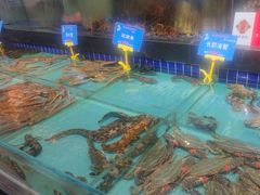 -宝轩渔府·老字号海鲜·正宗津菜(水上店)