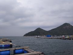 -东山珍珠岛