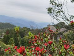 -太姥山风景名胜区