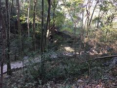 -九曜山