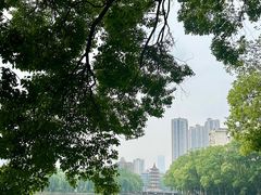 -宝岛公园