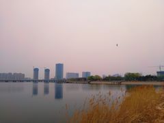 -天津金海湖