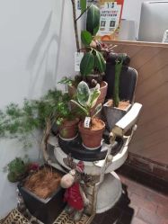 -Y-STUDIO原理
