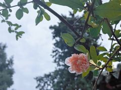 -西安市广仁寺