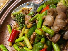 紫苏啫鱼肚-陶陶居酒家(解放北路店)