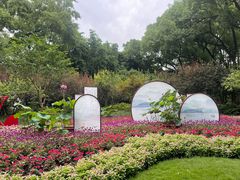 -上海醉白池公园
