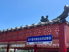 -白洋淀景区