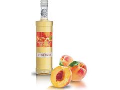 水蜜桃利口酒-熊藏居酒屋(kkone店)