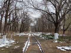 -永定河休闲森林公园