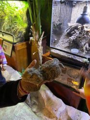 -酷嗒动物文化乐园(cutezoo西溪乐天城店)