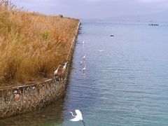 -碧桂园十里银滩