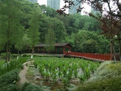 -重庆彩云湖湿地公园