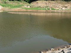 -仙水洋