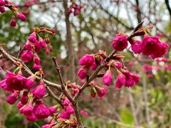 -福建鲤鱼洲酒店