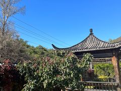 -荷塘味道(水长城店)