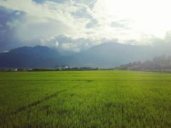 -唐咖精品咖啡(大理古城手冲店)