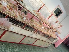 -中关村茶点