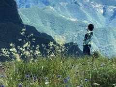 -白草畔自然风景区