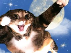 -塔斯汀中国汉堡(花都桂花路店)