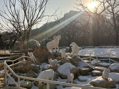 -吉姆冒险世界(蓟州店)