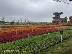 -芒洲湿地公园