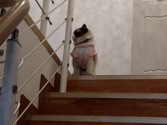 -武氏真功夫(第15店·正阳中路店)