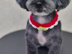 -乐琪宠物(青塔西路店)