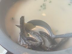 -生态苑农庄(十里画廊遇龙河店)