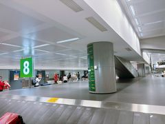 -米兰马尔彭萨国际机场