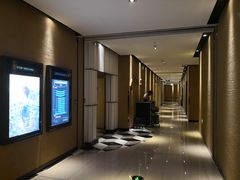 -百丽宫影城(CGS激光苏宁广场店)
