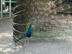 -大连铭湖国际观光牧场