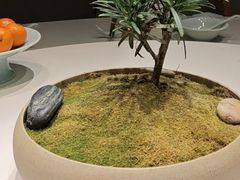 -淮扬府·游园京梦(中粮广场店)