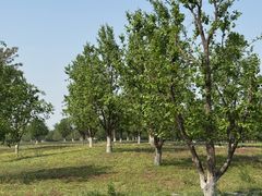-西安汉城湖景区