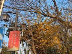 -秋霞圃