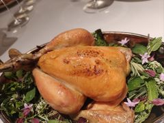 -Oyster Talks 四度蚝法餐厅