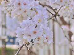 -新天地活力PARK