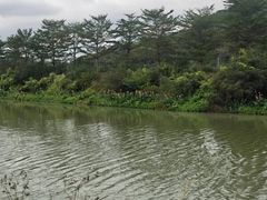 -风云岭森林公园
