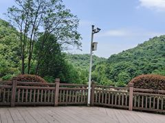 -桃花岭景区