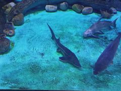 -常州海昌海洋探索馆
