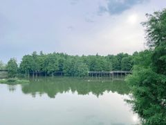 -青山湖景区