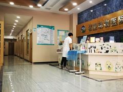 -瑞派名望24h动物医院异宠专科·猫专科·骨科·重症监护分院