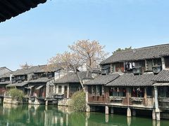 -乌镇西栅景区
