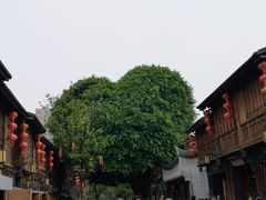 -三坊七巷历史文化街区