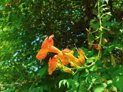 -海文实验幼儿园