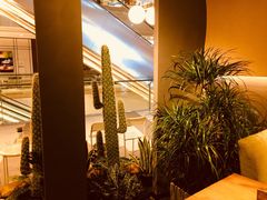 -半悦牛排(龙湖西宸天街店)