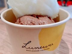 黑巧克力柠檬雪葩双球-Luneurs(幸福里店)
