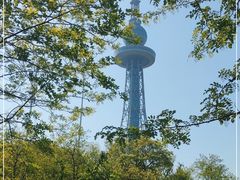 -青岛电视塔