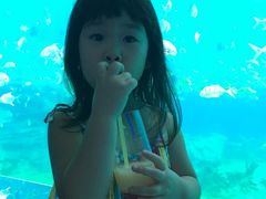 -瑞德姆美人鱼海底演艺主题餐厅(亚龙湾店)