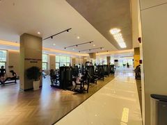 -章鱼健身 Octopus