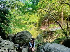 -宁波五龙潭景区